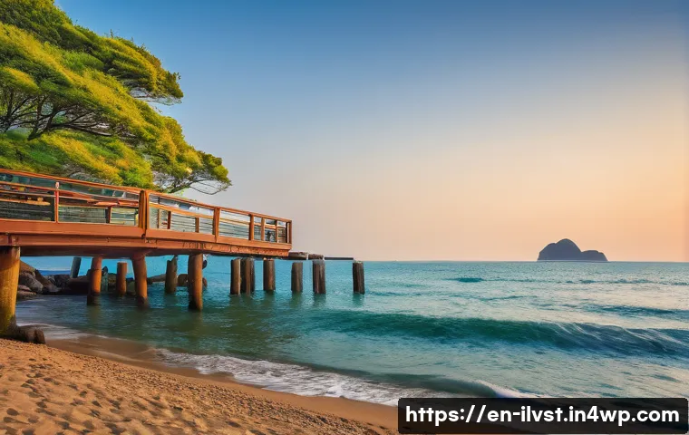 사모펀드 투자 성향 진단하기 관련 이미지 1